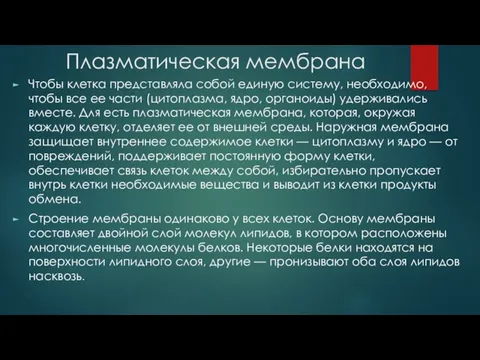 Плазматическая мембрана Чтобы клетка представляла собой единую систему, необходимо, чтобы