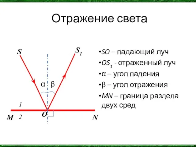 Отражение света α β SO – падающий луч OS1 -