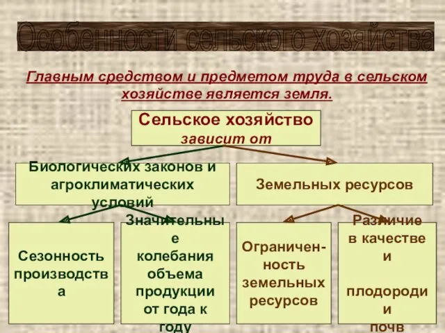 Особенности сельского хозяйства Главным средством и предметом труда в сельском