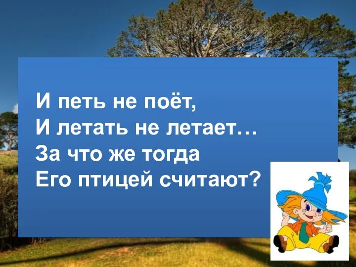 И петь не поёт, И летать не летает… За что же тогда Его птицей считают?