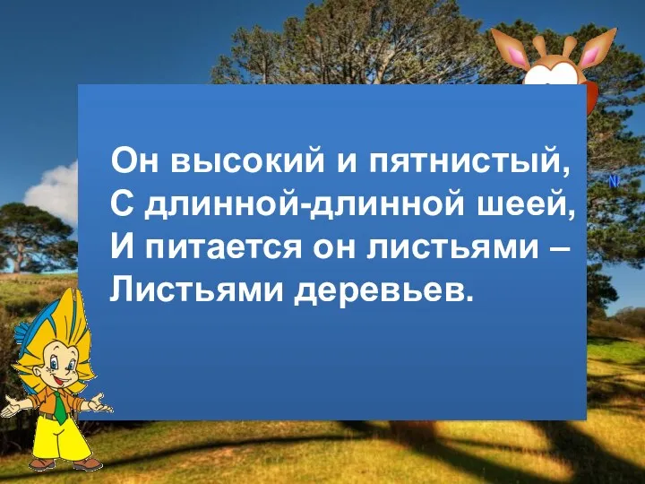 Он высокий и пятнистый, С длинной-длинной шеей, И питается он листьями – Листьями деревьев.