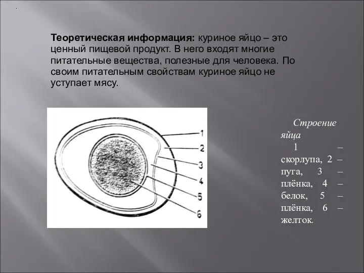 . Теоретическая информация: куриное яйцо – это ценный пищевой продукт.