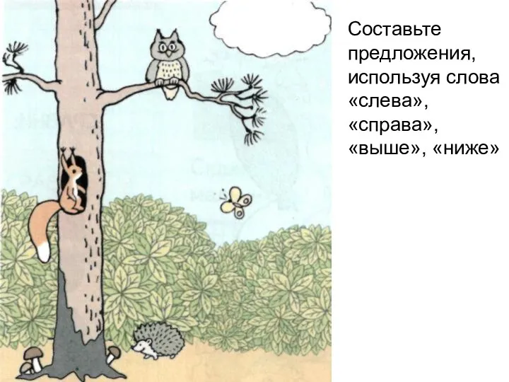 Составьте предложения, используя слова «слева», «справа», «выше», «ниже»