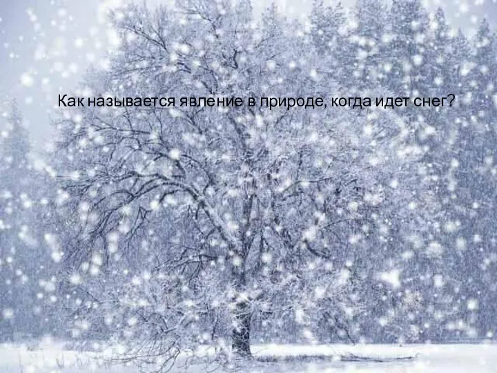 Как называется явление в природе, когда идет снег?