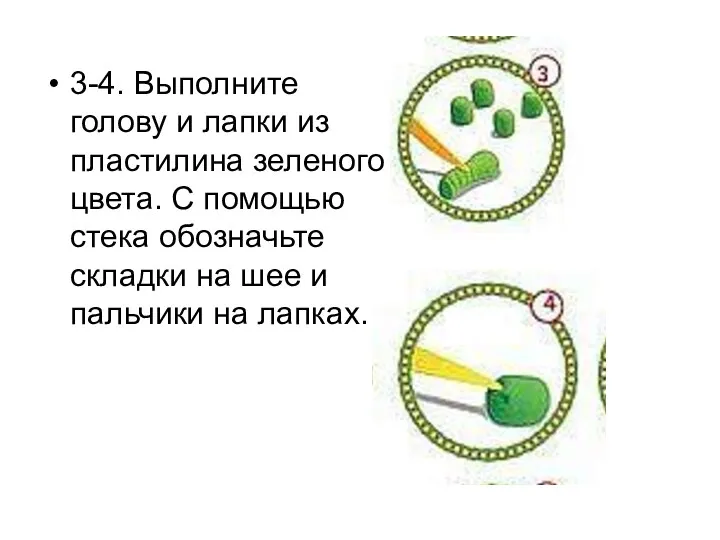 3-4. Выполните голову и лапки из пластилина зеленого цвета. С помощью стека обозначьте