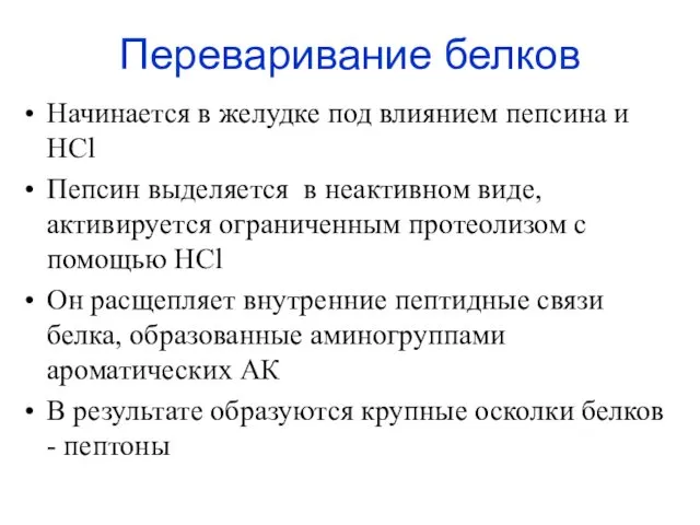 Переваривание белков Начинается в желудке под влиянием пепсина и НСl Пепсин выделяется в