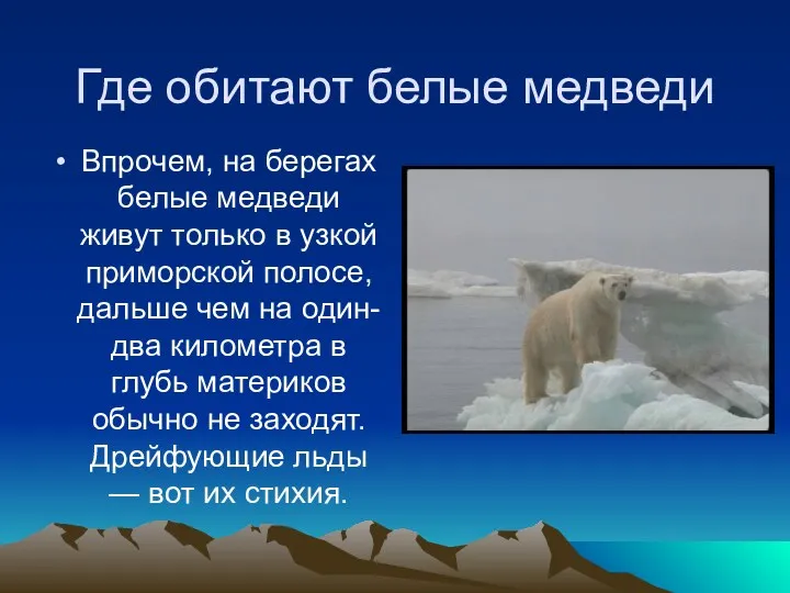 Где обитают белые медведи Впрочем, на берегах белые медведи живут