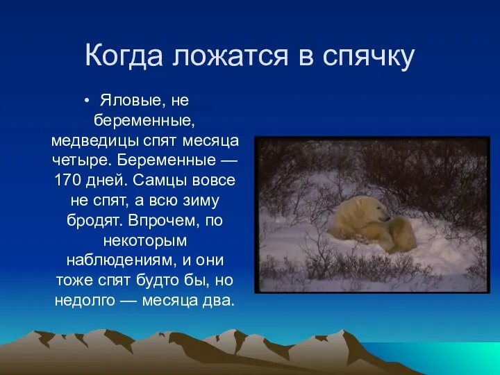 Когда ложатся в спячку Яловые, не беременные, медведицы спят месяца
