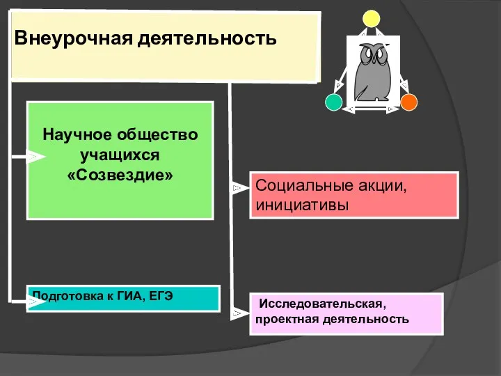 Внеурочная деятельность Научное общество учащихся «Созвездие» Подготовка к ГИА, ЕГЭ Социальные акции, инициативы Исследовательская, проектная деятельность