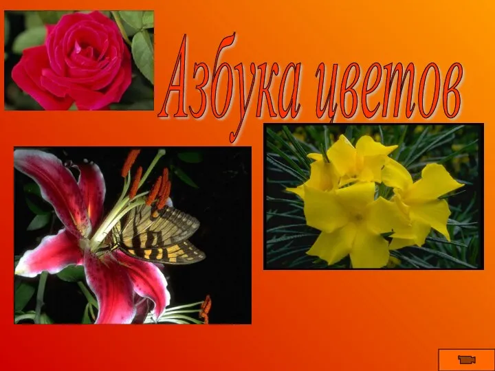 Азбука цветов