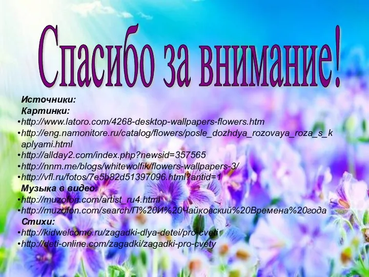Спасибо за внимание! Источники: Картинки: http://www.latoro.com/4268-desktop-wallpapers-flowers.htm http://eng.namonitore.ru/catalog/flowers/posle_dozhdya_rozovaya_roza_s_kaplyami.html http://allday2.com/index.php?newsid=357565 http://nnm.me/blogs/whitewolfik/flowers-wallpapers-3/ http://vfl.ru/fotos/7e5b82d51397096.html?antid=1