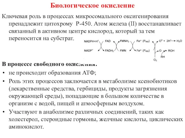 Ключевая роль в процессах микросомального оксигенирования пренадлежит цитохрому Р-450. Атом