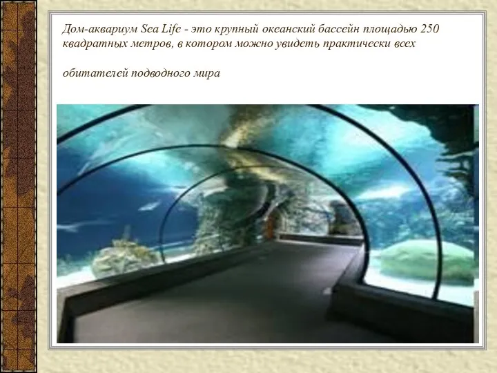Дом-аквариум Sea Life - это крупный океанский бассейн площадью 250 квадратных метров, в
