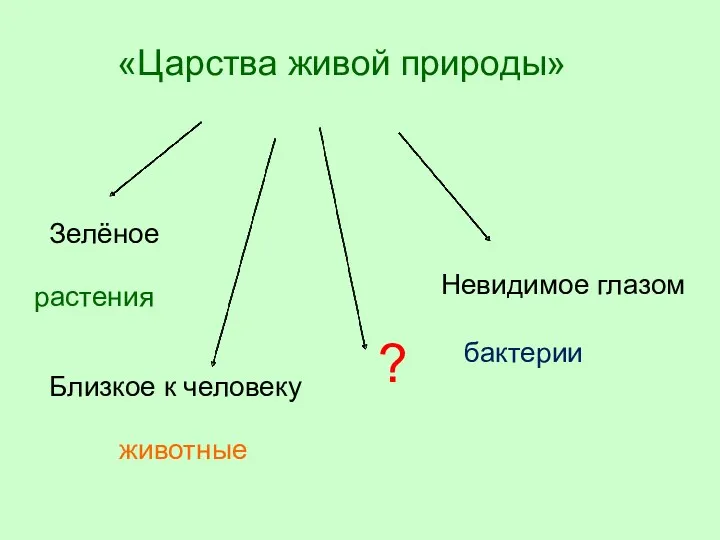 Зелёное Невидимое глазом ? «Царства живой природы» бактерии растения животные Близкое к человеку