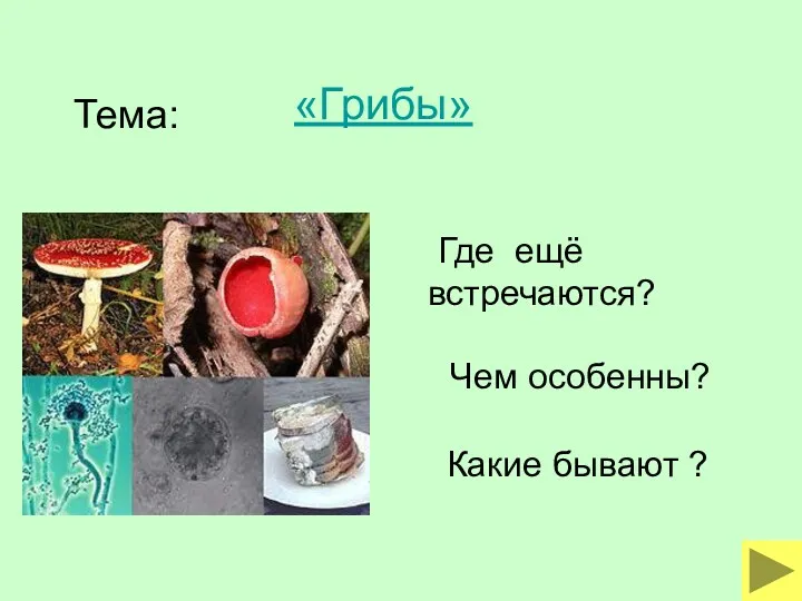 «Грибы» Тема: Где ещё встречаются? Чем особенны? Какие бывают ?