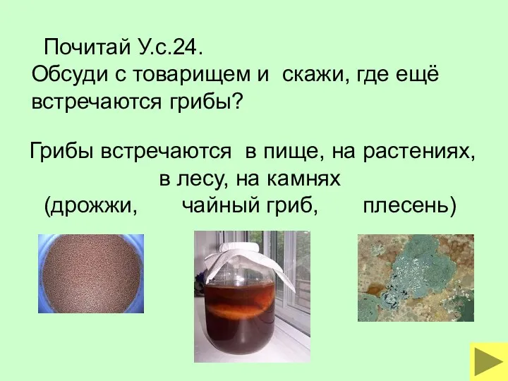 Почитай У.с.24. Обсуди с товарищем и скажи, где ещё встречаются грибы? Грибы встречаются