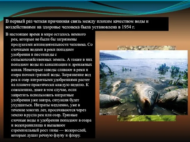 В настоящее время в мире осталось немного рек, которые не