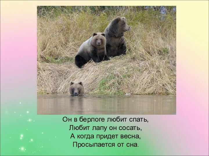 Он в берлоге любит спать, Любит лапу он сосать, А когда придет весна, Просыпается от сна.