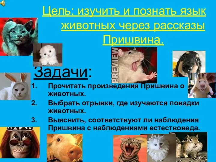 Цель: изучить и познать язык животных через рассказы Пришвина. Задачи: Прочитать произведения Пришвина