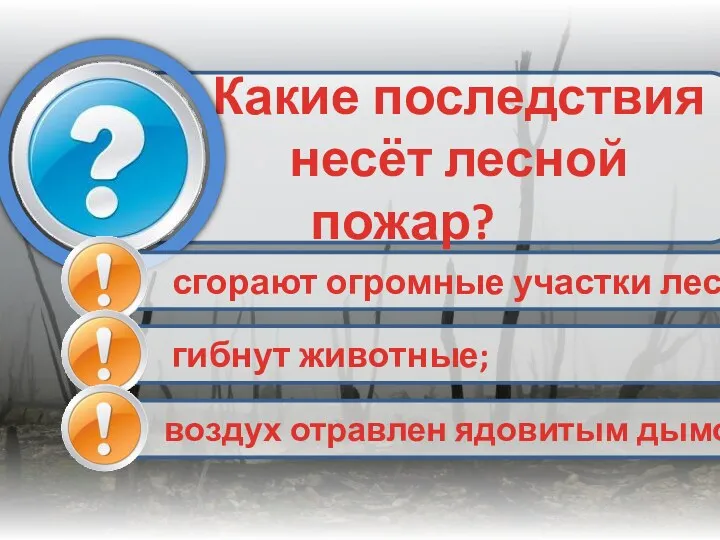 Какие последствия несёт лесной пожар?