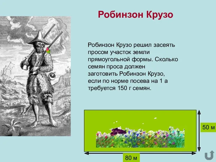 Робинзон Крузо решил засеять просом участок земли прямоугольной формы. Сколько