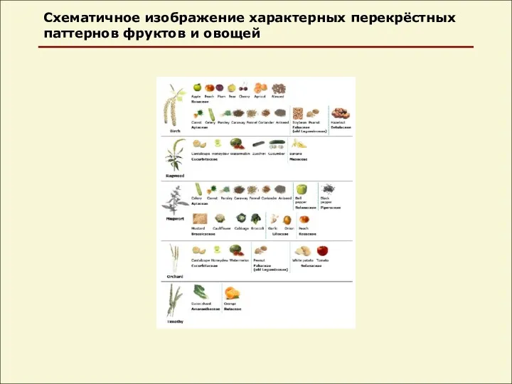 Схематичное изображение характерных перекрёстных паттернов фруктов и овощей