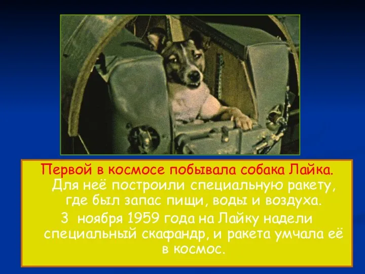 Первой в космосе побывала собака Лайка. Для неё построили специальную ракету, где был