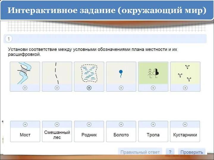 Интерактивное задание (окружающий мир)