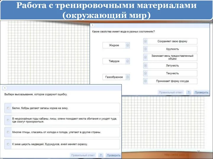 Работа с тренировочными материалами (окружающий мир)