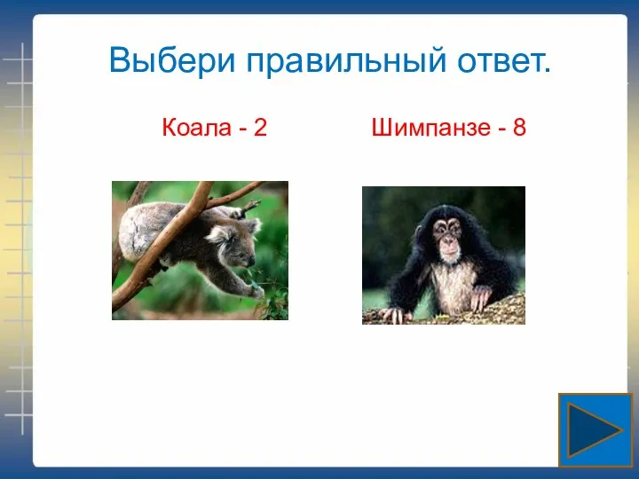 Выбери правильный ответ. Коала - 2 Шимпанзе - 8