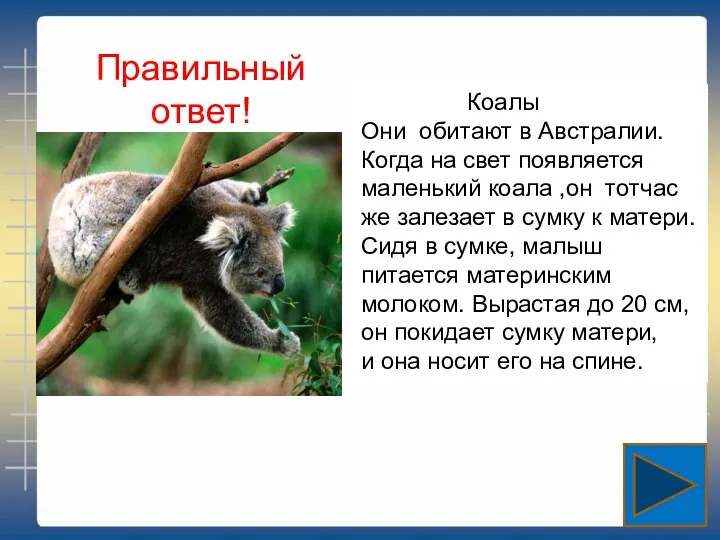 Правильный ответ! Коалы Они обитают в Австралии. Когда на свет появляется маленький коала