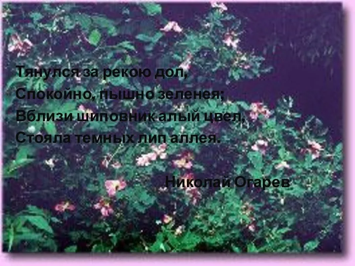 Тянулся за рекою дол, Спокойно, пышно зеленея; Вблизи шиповник алый