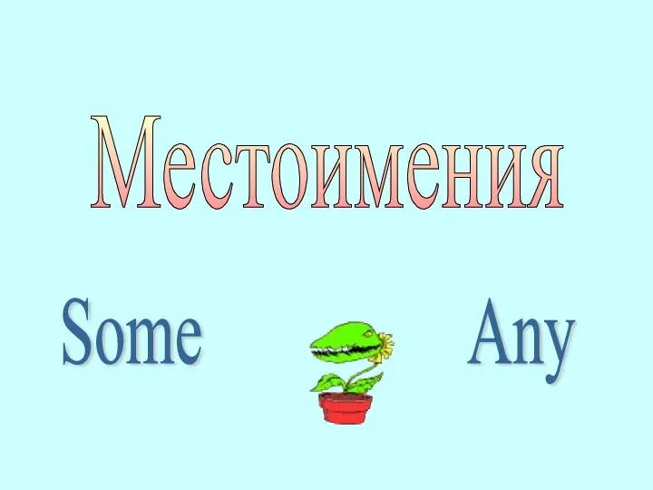 Местоимения Some Any