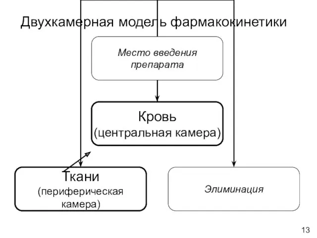 Двухкамерная модель фармакокинетики 13