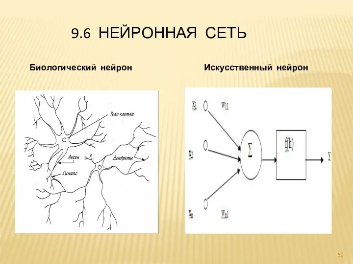 9.6 НЕЙРОННАЯ СЕТЬ Биологический нейрон Искусственный нейрон