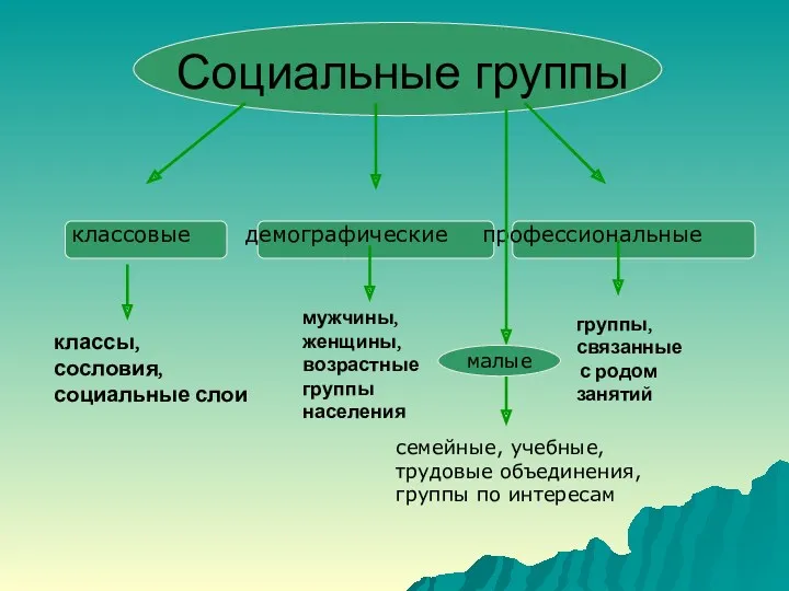 Социальные группы классовые демографические профессиональные классы, сословия, социальные слои мужчины,