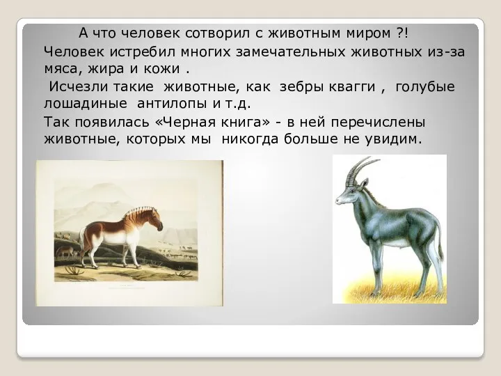 А что человек сотворил с животным миром ?! Человек истребил многих замечательных животных