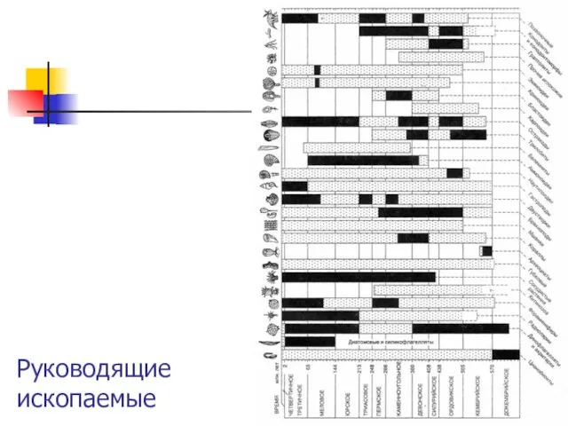 Руководящие ископаемые