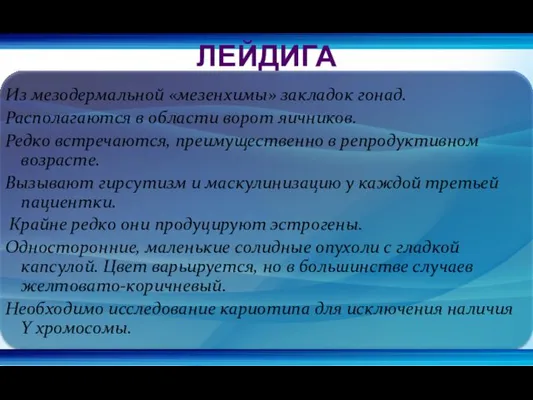 Из мезодермальной «мезенхимы» закладок гонад. Располагаются в области ворот яичников.