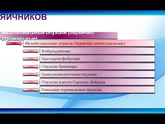 Мезотелиальные опухоли (первично стромальные) Мезотелиальные опухоли (первично эпителиальные) Фиброаденомы Опухоли