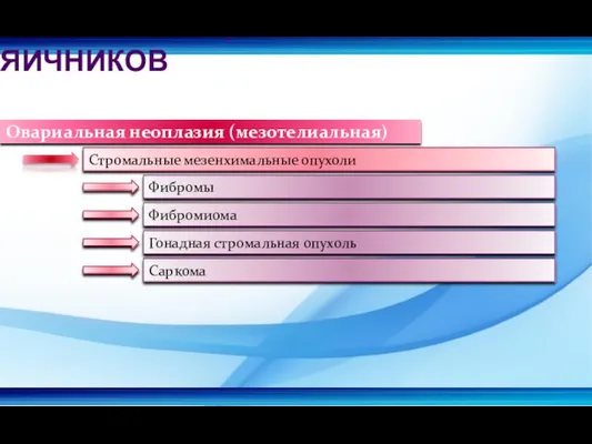 Овариальная неоплазия (мезотелиальная) Стромальные мезенхимальные опухоли Фибромы Фибромиома Гонадная стромальная опухоль Саркома КЛАССИФИКАЦИЯ ОПУХОЛЕЙ ЯИЧНИКОВ