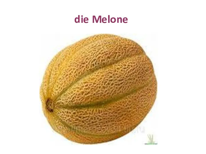 die Melone