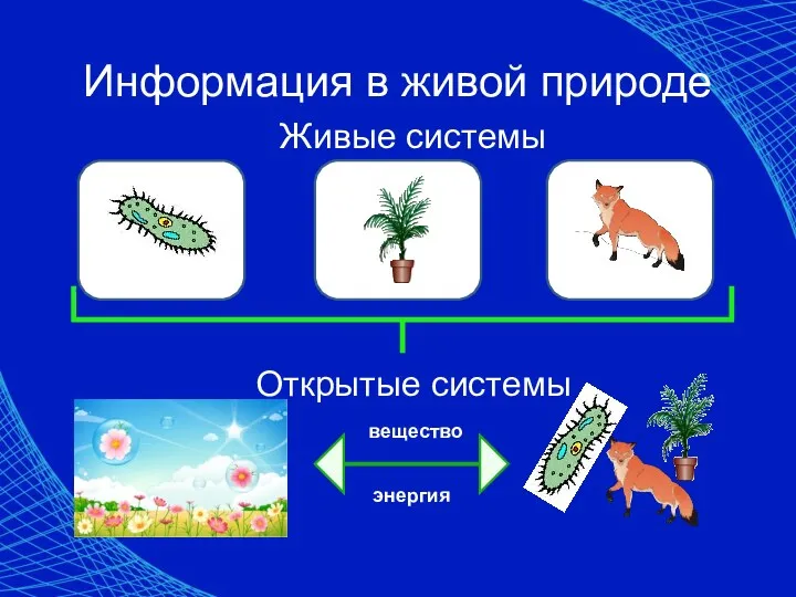 вещество энергия Информация в живой природе Живые системы Открытые системы