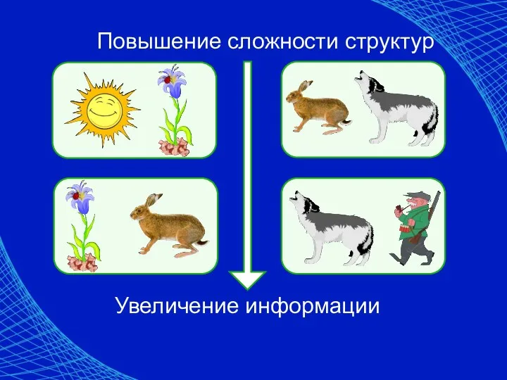 Повышение сложности структур Увеличение информации