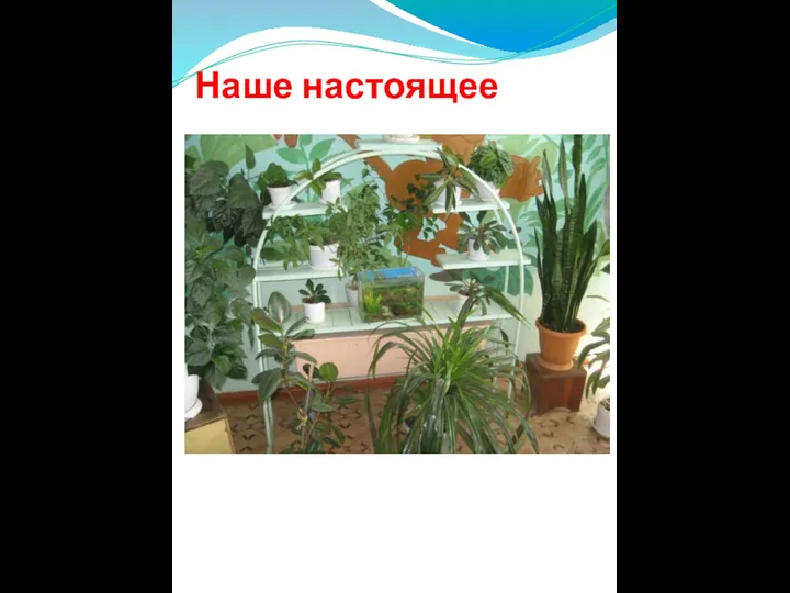 Наше настоящее