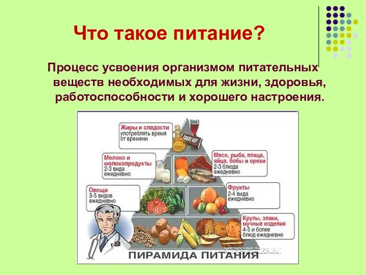 Что такое питание? Процесс усвоения организмом питательных веществ необходимых для жизни, здоровья, работоспособности и хорошего настроения.