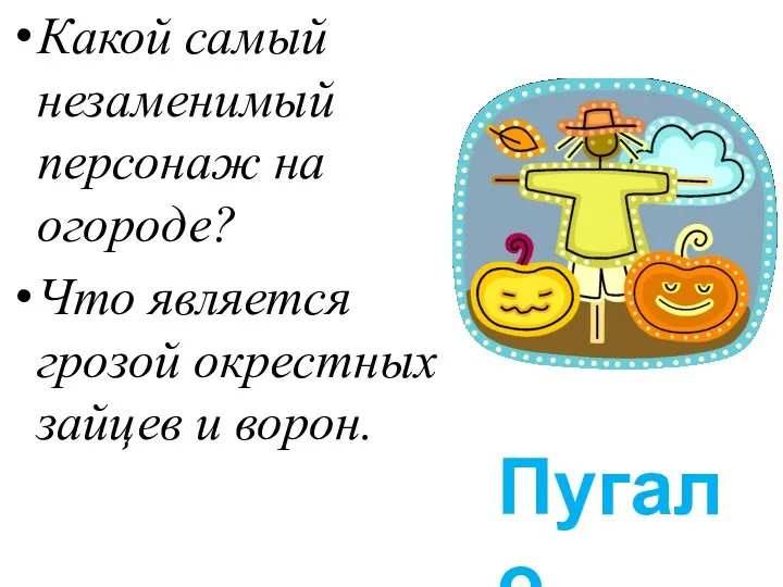 Какой самый незаменимый персонаж на огороде? Что является грозой окрестных зайцев и ворон. Пугало