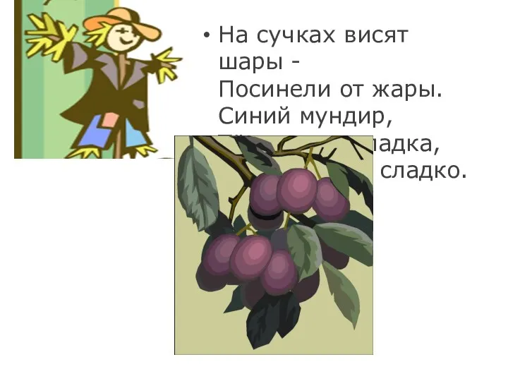 На сучках висят шары - Посинели от жары. Синий мундир, Тёплая подкладка, А в середине сладко.