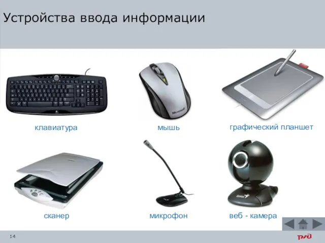 Устройства ввода информации клавиатура мышь графический планшет сканер микрофон веб - камера
