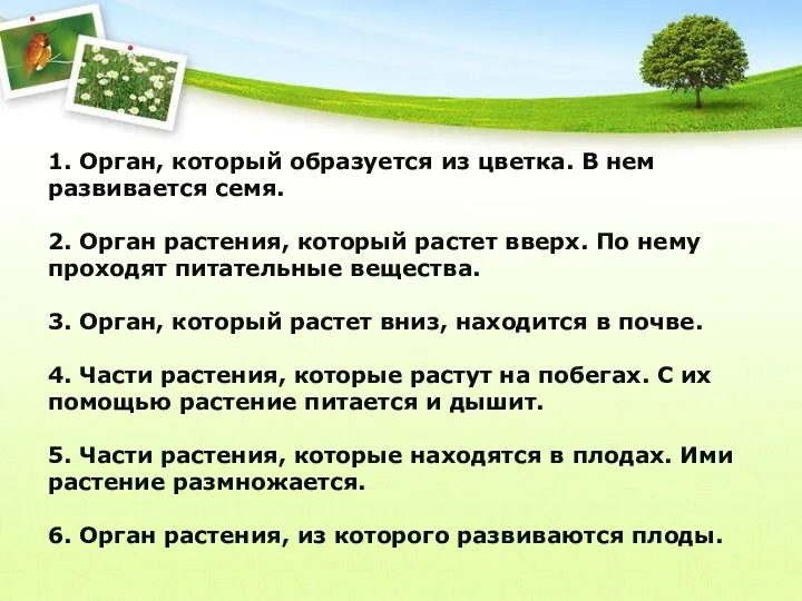 1. Орган, который образуется из цветка. В нем развивается семя.